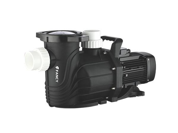 SFE Swimming pool pump