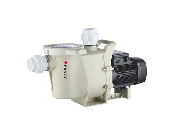 SWP Swimming pool pump